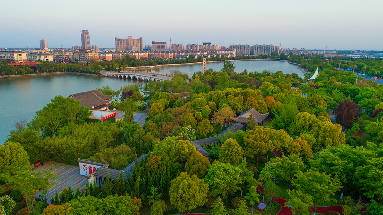 文明花開滿濱城