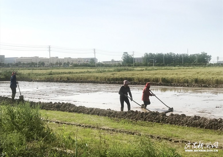 濱淮鎮(zhèn)東罾村村民平整田塊