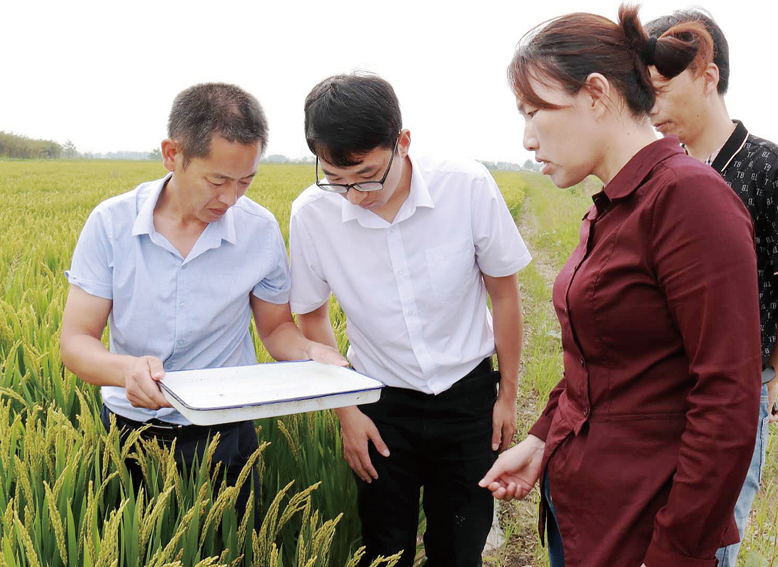 蔡橋鎮(zhèn)農(nóng)技人員指導(dǎo)水稻病蟲害防治工作