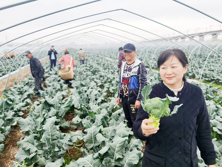 我縣不斷拓寬增收渠道