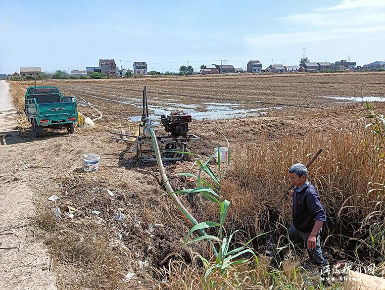 陳濤鎮(zhèn)長吉村解決地勢高田塊夏種用水問題